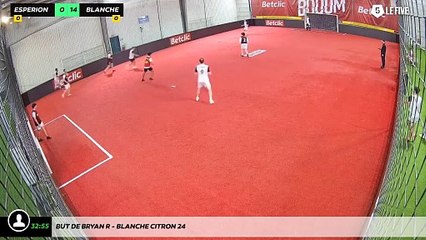 But de Bryan R - Blanche Citron 24