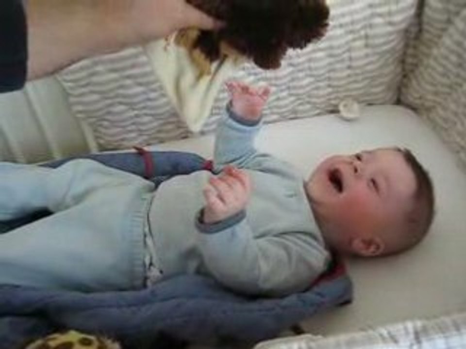 Fou rire avec Bobol