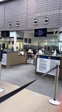 Rata en Garita Tijuana-San Ysidro