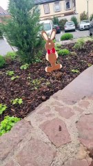 Lundi de paques 2025 avec lya