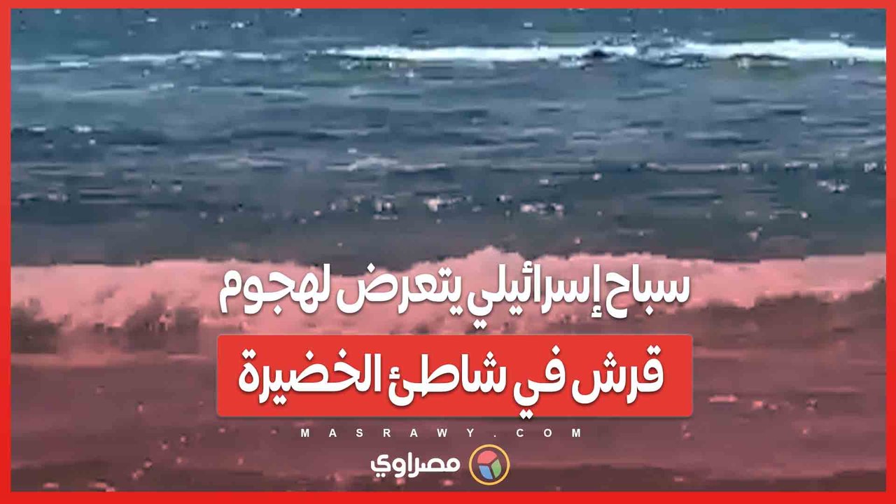 سباح إسرائيلي يتعرض لهجوم قرش في شاطئ الخضيرة