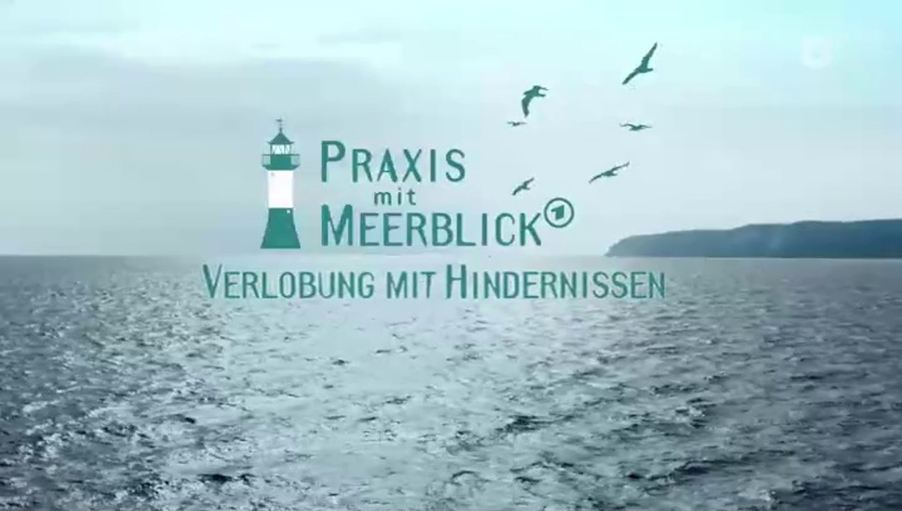 Praxis mit Meerblick -24- Verlobung mit Hindernissen
