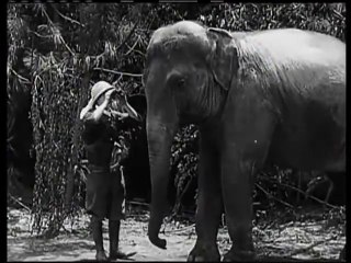 1923   Stan Laurel   Roughest Africa