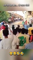 Cow Chase Gone Wrong! Hilarious Motorcycle Accident