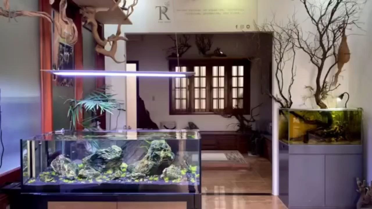 Planted aquarium 70
