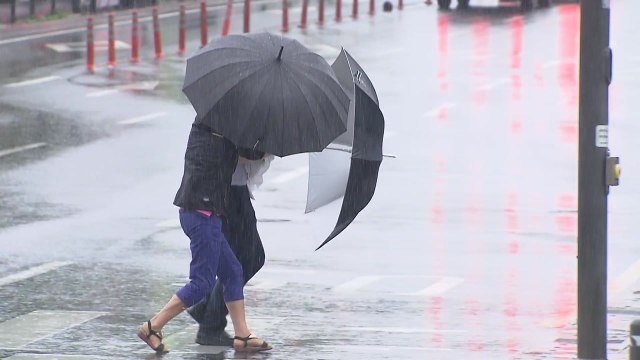 [날씨] '요란한 봄' 전국 강풍 동반 비...남해안·제주도 80∼120mm / YTN