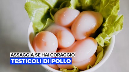 Assaggia se hai coraggio: Testicoli di pollo