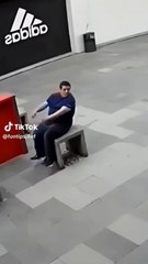 b01621da-2c80-4777-9ff8-c4754989965b