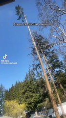 Nobody would’ve believed it if it wasn’t recorded