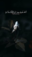 پیارے رسول صلی اللہ علیہ وآلہ وسلم نے فرمایا کون ھے جو