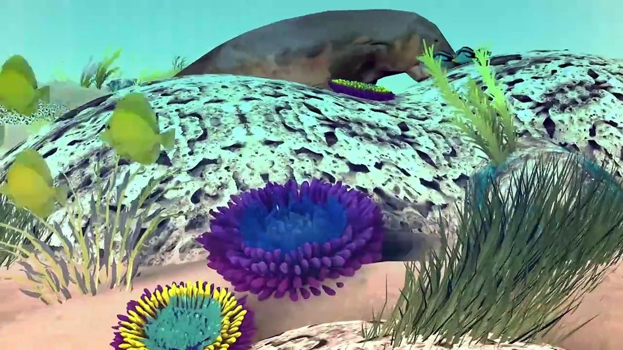 La Grande barrière de corail