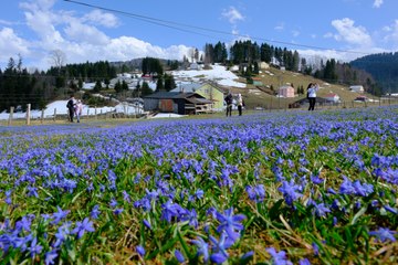 Tam 11 kilometre tırmandılar: Tek bir şey için! 10 gün sonra yok olacak