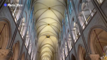 Mort du pape : à Notre-Dame de Paris, croyants et touristes choqués et attristés