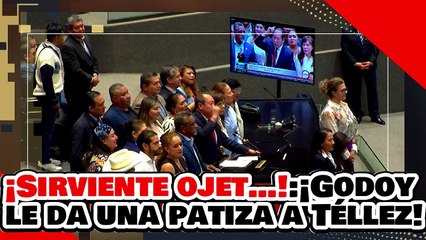 ¡SIRVIENTE OJET…! ¡GODOY le DA UNA BRUTAL PATIZA al 'PANARKO' TÉLLEZ por ATACAR a la PRESIDENTA!