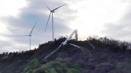 전남 화순 127m 높이 풍력발전기 쓰러져...원인 조사 / YTN