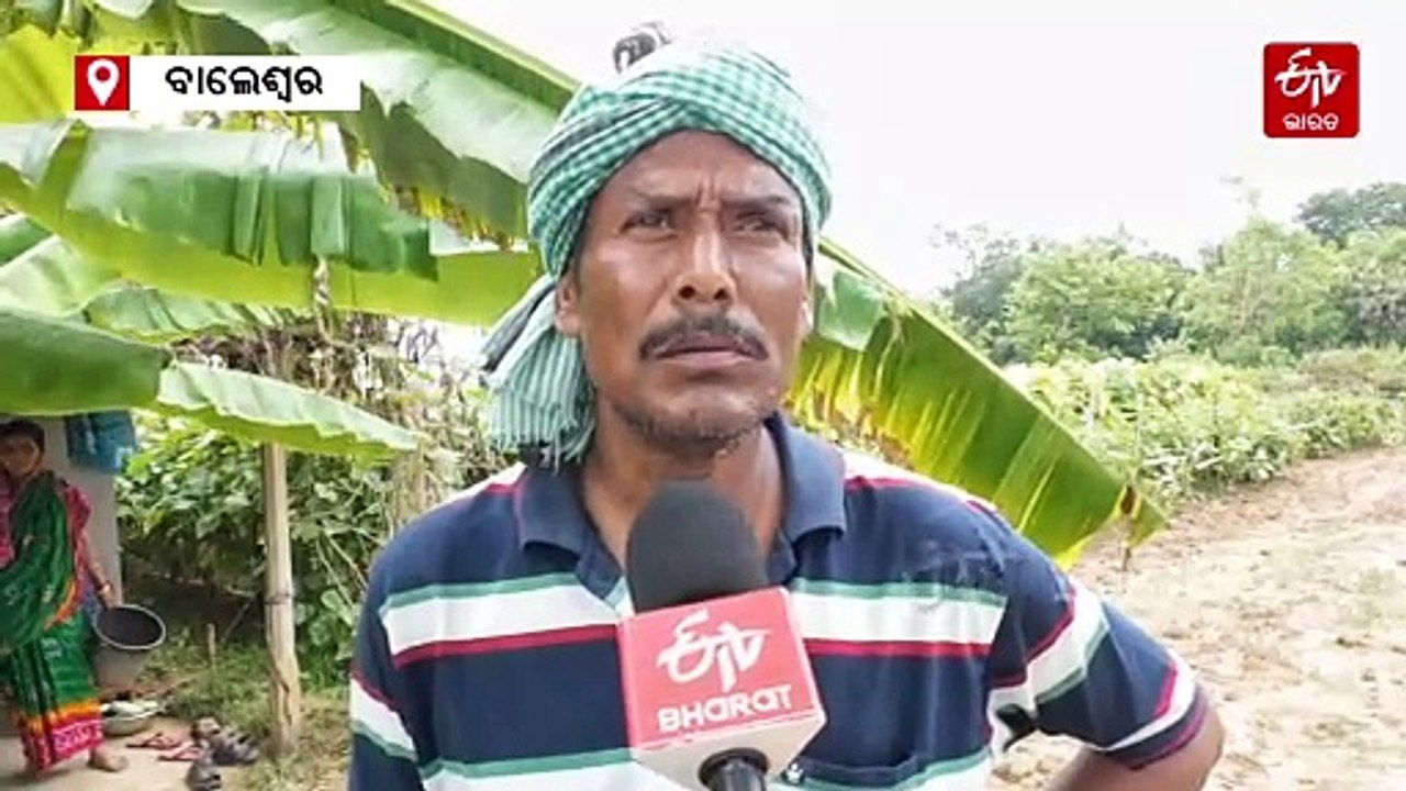 ଚାଷ ଦେଲା ନୂଆ ପରିଚୟ, ରାଜମିସ୍ତ୍ରୀରୁ ପାଲଟିଗଲେ ‘କାକୁଡ଼ି ଭାଇ’