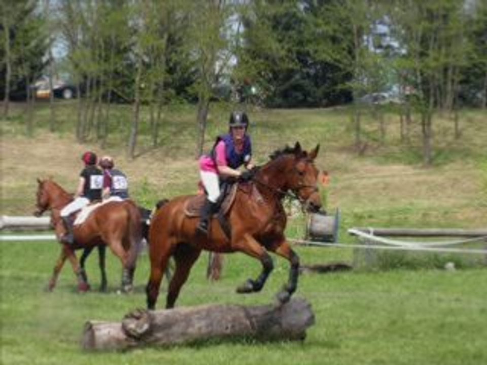 CCE cross
