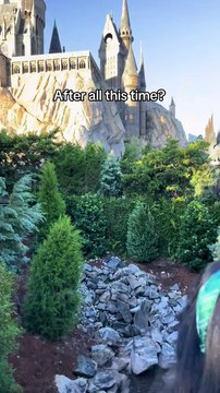 Fan Harry Potter un jour, fan Harry Potter toujours