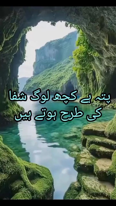 shayri ❤️❤️🌹