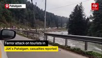 Tourist Killed In Terror Attack In Jammu And Kashmir's Pahalgam