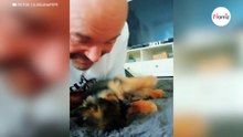 Cachorro gatea para que su dueño lo acaricie: más de 5 millones de corazones se rompen con la escena (Vídeo)