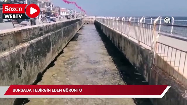 Bursa'da tedirgin eden görüntü