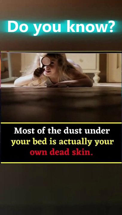 That Dust Under Your Bed? It’s Mostly Your Own Skin! 😳🧬