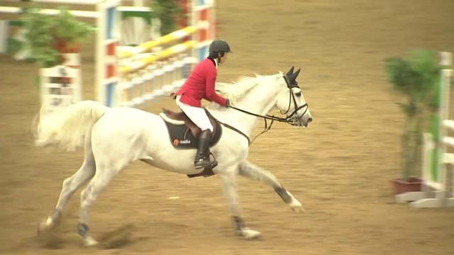 [전북] '말 산업 중심' 전북, 올해 전국 승마대회 25개 개최 / YTN