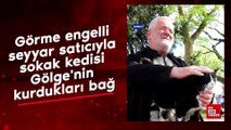 Görme engelli seyyar satıcıyla sokak kedisi Gölge'nin kurdukları bağ