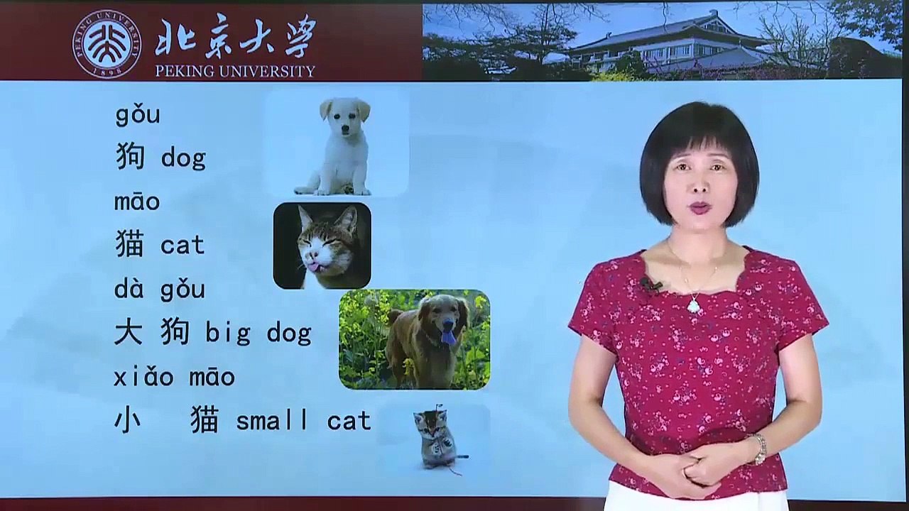 Lecture 07: HSK 1 - Possession Sentences ("I Have a Big Dog")