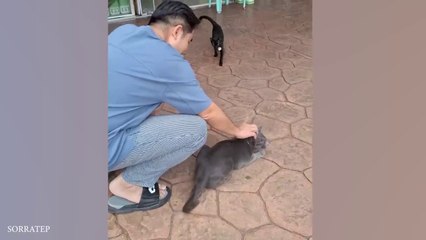 Best Funniest Animal Videos 2025 😬 Funny ANIMAL Videos make us Laugh 🤣