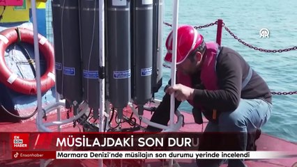 Marmara Denizi'nde müsilajın son durumu yerinde incelendi