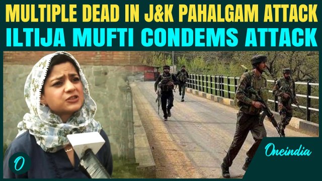 J&K Pahalgam Terror Attack on Tourists : PDP’s Iltija Mufti Says 'My Head Hangs in Shame' | Watch