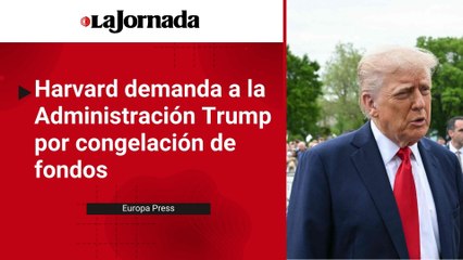 La Universidad de Harvard demanda a la Administración Trump tras la congelación de fondos