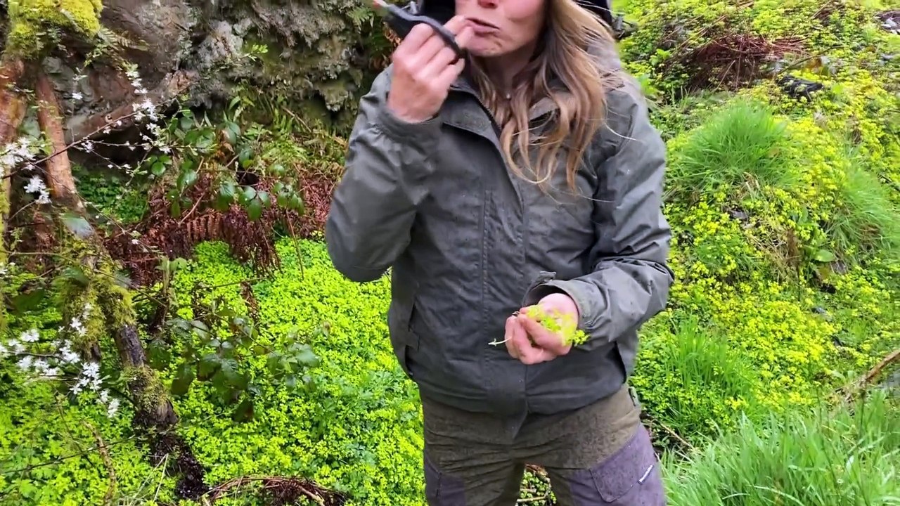 I never want to eat normal food again Meet the woman eating wild for one month