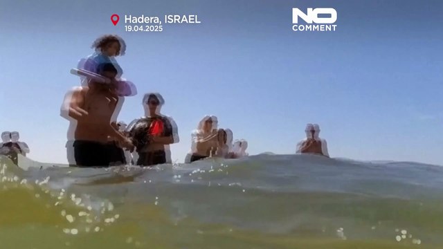 Trwają poszukiwania po podejrzeniu ataku rekina na wybrzeżu Izraela