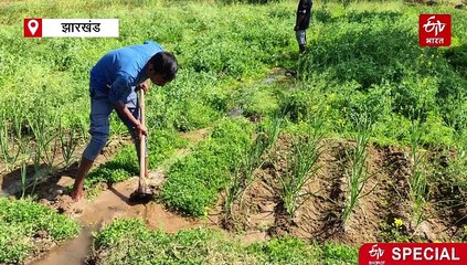 झारखंड में फसल सिंचाई में क्रांति की दस्तक! लिफ्ट इरिगेशन से खेतों तक पानी पहुंचाने में जुटी सरकार