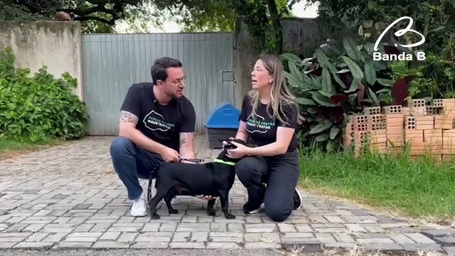 Mulheres são flagradas abandonando cachorro em Curitiba