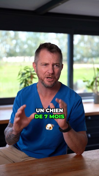 Ma pire consultation de vétérinaire ...