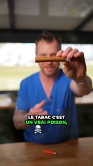 Le tabac chez les animaux