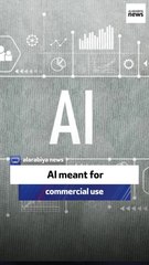 AI company’s CEO: AI meant for commercial use