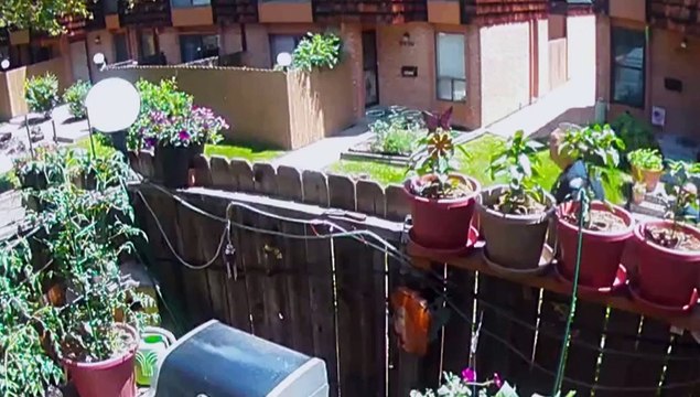 Killers Caught On Camera S02E07