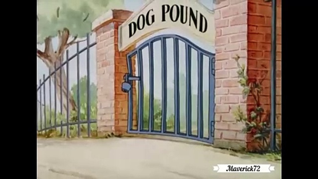 Tom and Jerry un giorno da cani