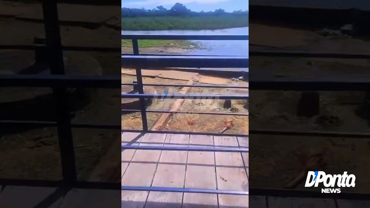 Caseiro é devorado por onça, corpo foi encontrado na toca do animal; vídeo