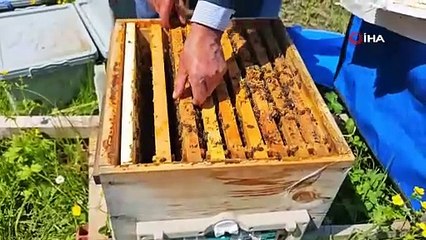 Zirai don arıları da vurdu!