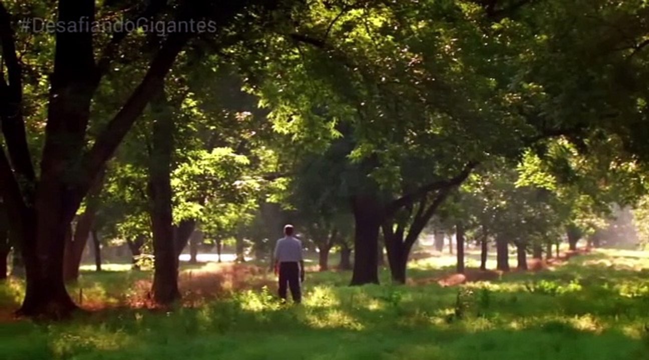 Desafiando Gigantes