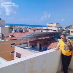 موسيقى مسلسل اين قلبي