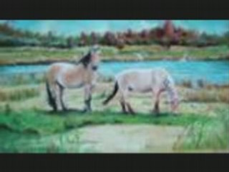 cheval / chevaux