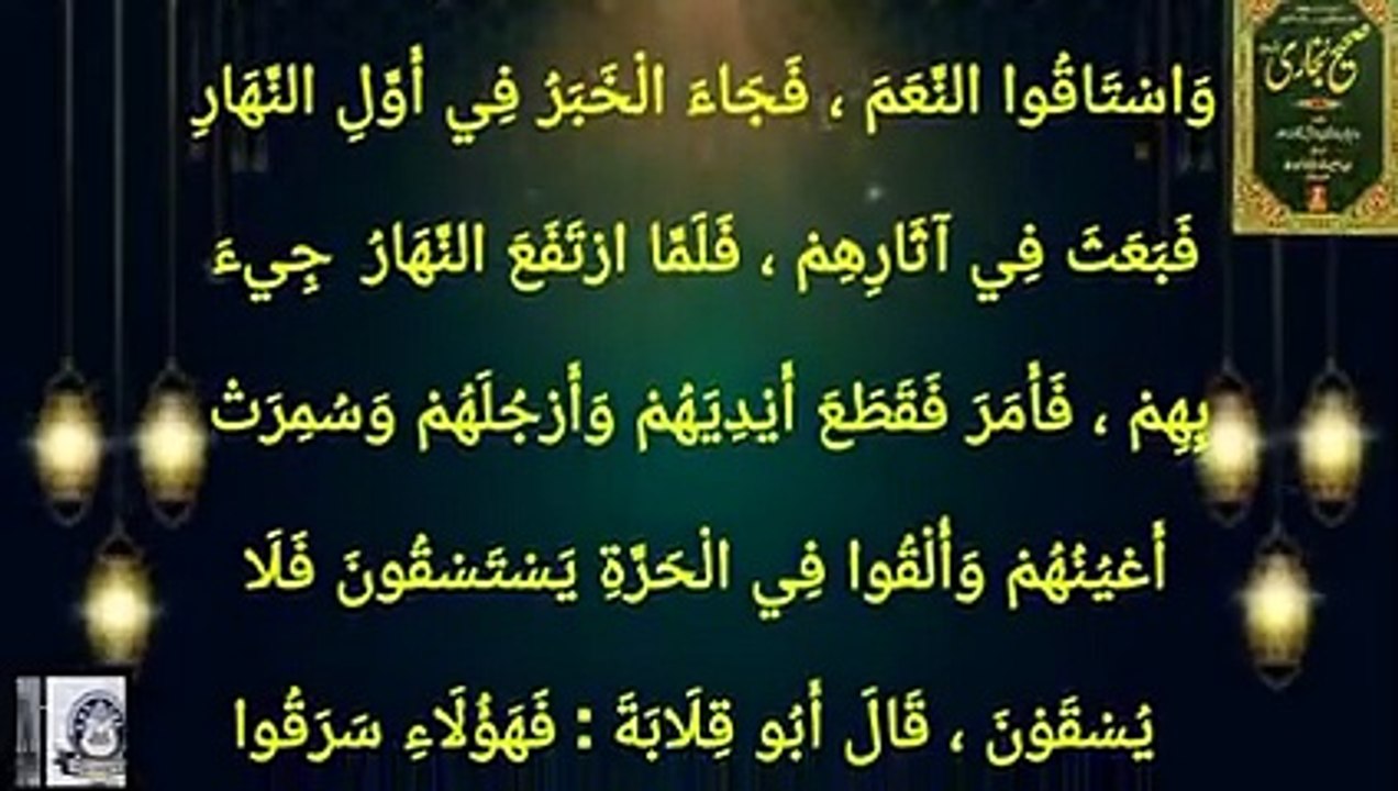 Sahih Bukhari Hadees No 233
