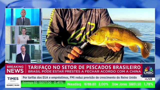 Exportações de pescados para China podem crescer 20% com novo acordo; presidente da Abipesca explica